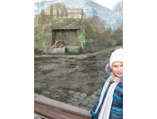 ����������� 228.jpg