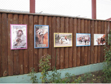 ����������� 229.jpg