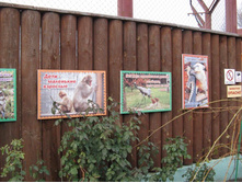 ����������� 230.jpg