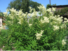 �������, 80 �.