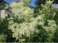 �������, 80 �.