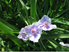 ������������ ������� ���������, 80 �.