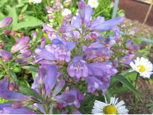 ������ 011.jpg