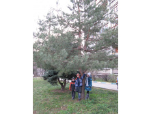 ����������� 233.jpg