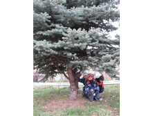 ����������� 234.jpg