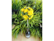 ��������� ������