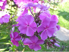 ����� �������.