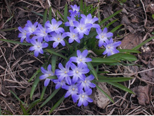 � ������������ 011.JPG