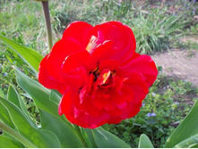 � ������������ 036.JPG