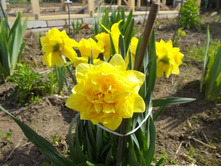 � ������������ 038.JPG