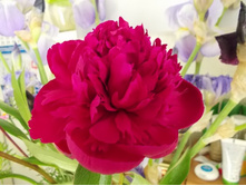 � ������������ 063.JPG