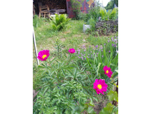 � ������������ 067.JPG