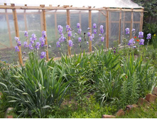 � ������������ 074.JPG