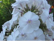 ����� � ��������� �������.