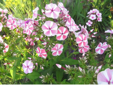 ���������� �����.