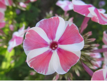 ���������� �����.