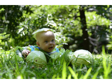 ������� ����� � �������)