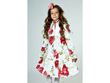 �-323 ��������.jpg