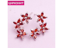 ������ �����, 269 ���. ���� � ������������.jpg