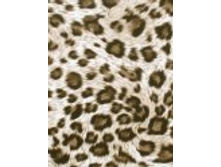 ������� �������.jpg