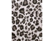 ���������� �������.jpg