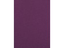 ������ ������.jpg