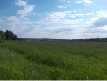 ������������ ������