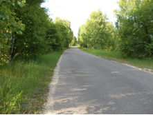 ������������ ������