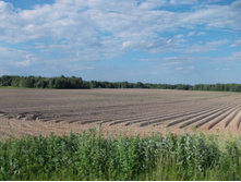 ������������ ������