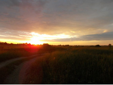 ���������� ����