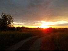 ���������� ����