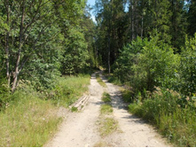 �� ���������� �� �������� �����