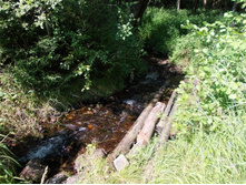 �� ���������� �� �������� �����