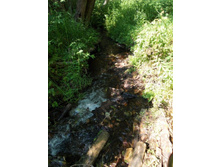 �� ���������� �� �������� �����