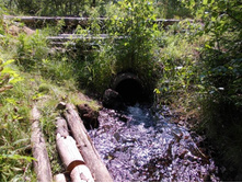 �� ���������� �� �������� �����