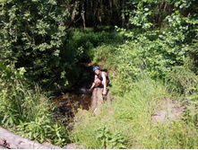 �� ���������� �� �������� �����