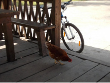 ������� ��Σ����� ������