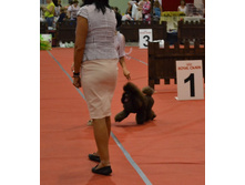 DSC_1672.JPG