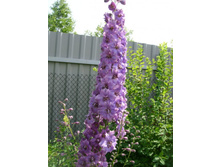 ���������2