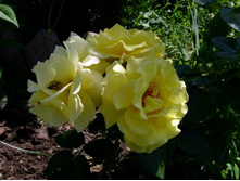 ���-�� �������� ����� ������, �� �� ���������, �� �� �����������