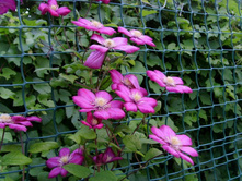 ���� ���� �� ����.JPG