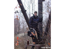 � ��������