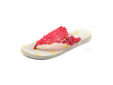 Batucada Hawaii,�-� 40-41