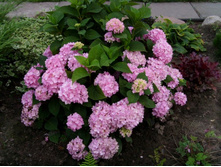 ��������� ����������� ����.JPG