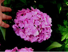 ��������� ������� ��������.JPG