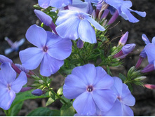 ����� ����,����� �������