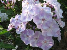 ��������� �����=���������