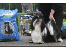 23.06.13 �. ����� - BIG-3, BISj-1!