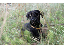 ������ ������ 2013 063.jpg