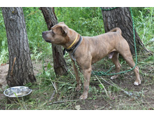 ������ ������ 2013 069.jpg